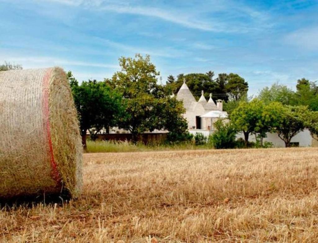 Villa Trulli Delle Rose à Martina Franca Extérieur photo